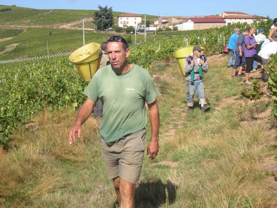 Alain Braillon Domaine Alain Braillon