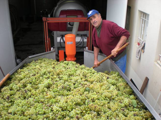 le Chardonnay le Chardonnay