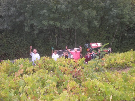 Sur les coteaux escarpés de Salles en Beaujolais