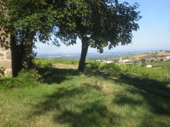 En Beaujolais la veille des vendanges