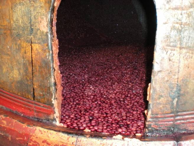 grains de raisins des grains de raisins aux grains de folie