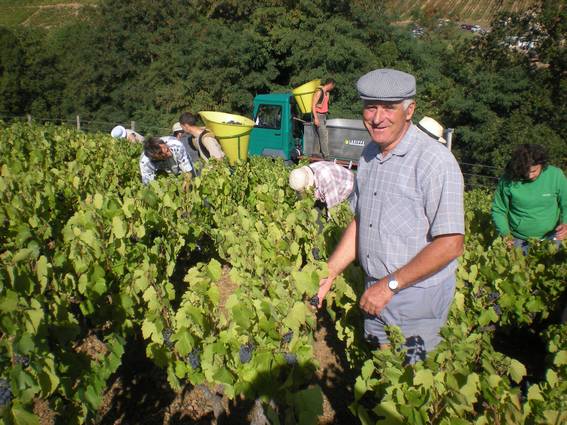 Jeannot Longefay Pendant les vendanges à Salles-Arbuissonnas