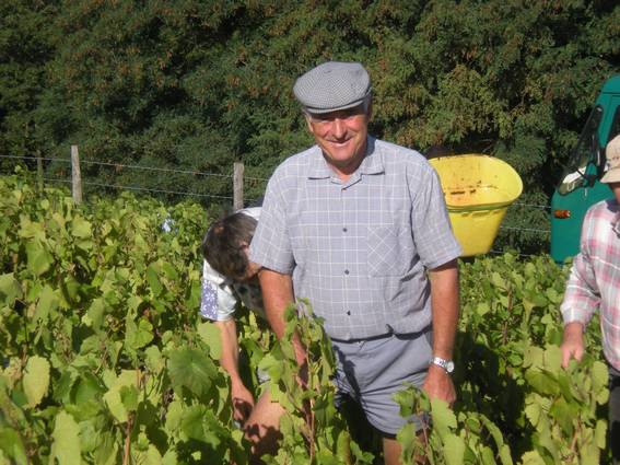 Jeannot Longefay ... et sa casquette Dans les vignes de la Péreuse