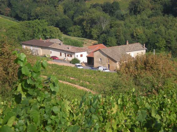 La maison des vendangeurs Le réfectoire et les dortoirs nichés au milieu des vignes