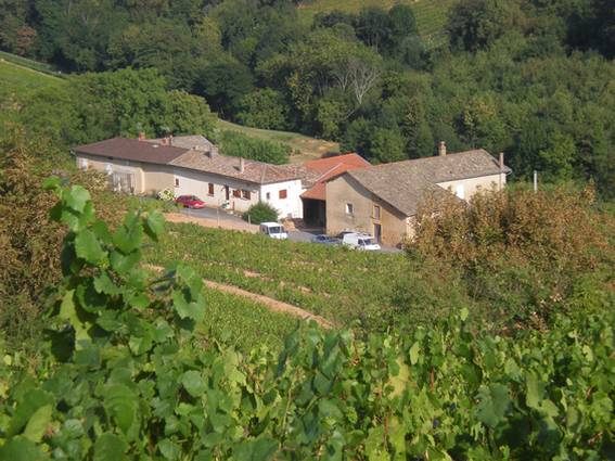 Le réfectoire et les dortoirs nichés au milieu des vignes