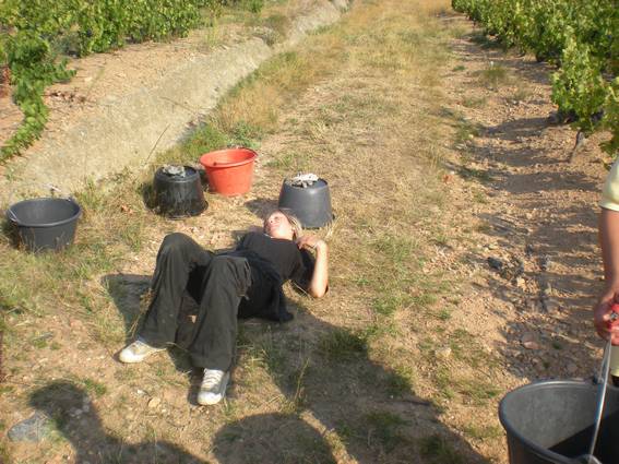 J'en peux plus ... Encore 5 minutes ...