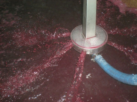 Le beaujolais nouveau jaillit