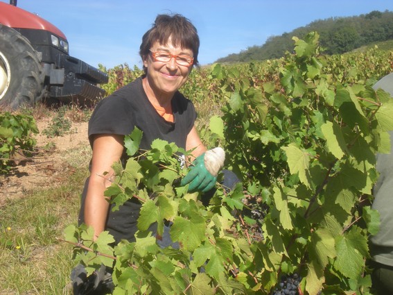 Marivonne dans les vignes du Beaujolais