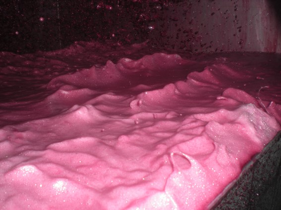 Mousse de gamays