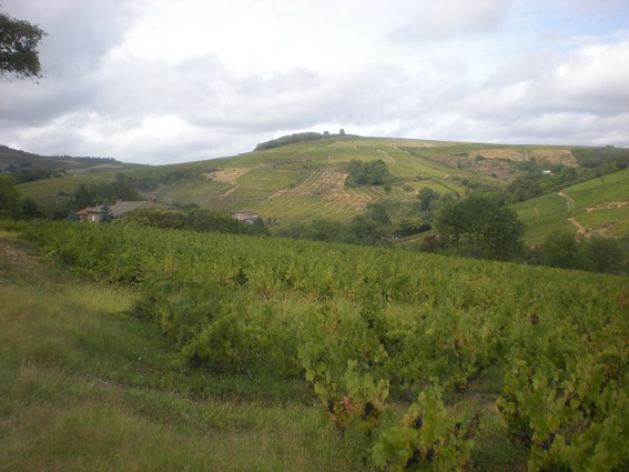 Le 16 septembre 2010 à Salles Arbuissonnas en Beaujolais