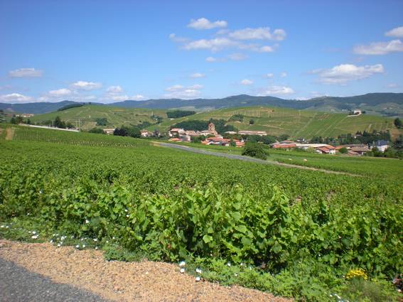 Salles en beaujolais Salles en Beaujolais