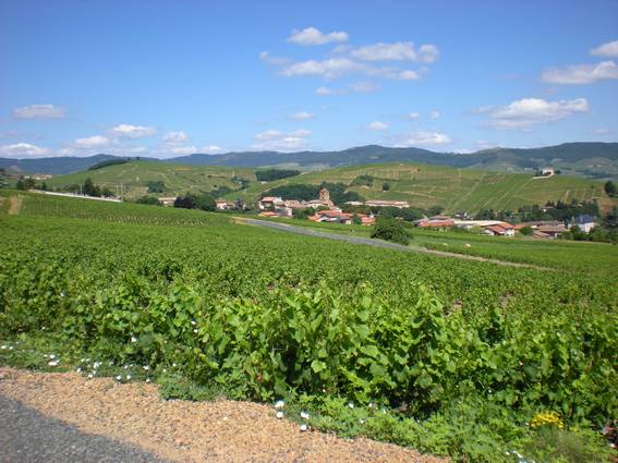 Salles en Beaujolais