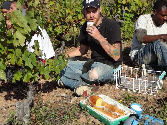 Vendangeurs en Beaujolais