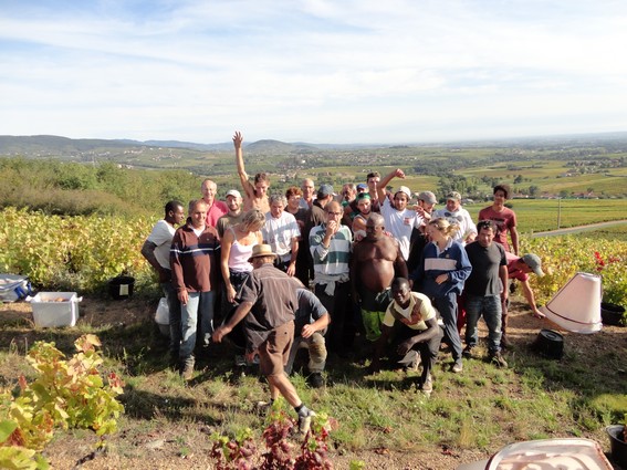 Bientt la fin des vendanges ?