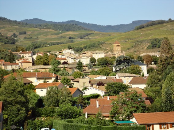 Le Beaujolais en septembre