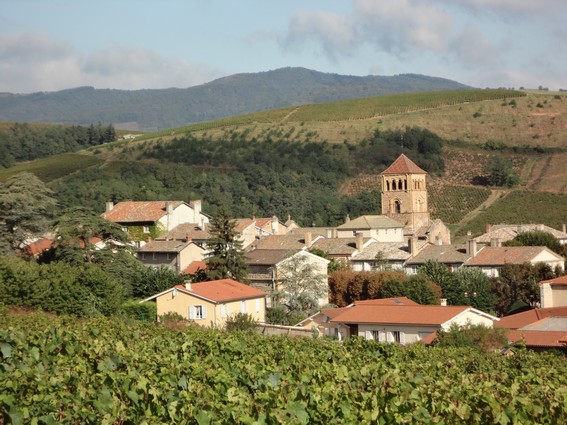 Salles en Beaujolais Soir de vendanges à Salles-Arbuissonnas en Beaujolais