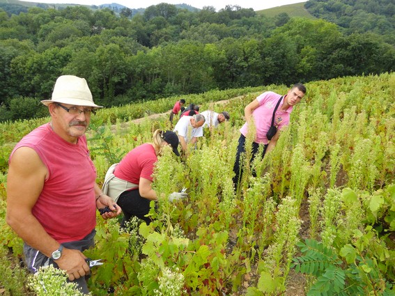 Domaine du Crêt du Ris