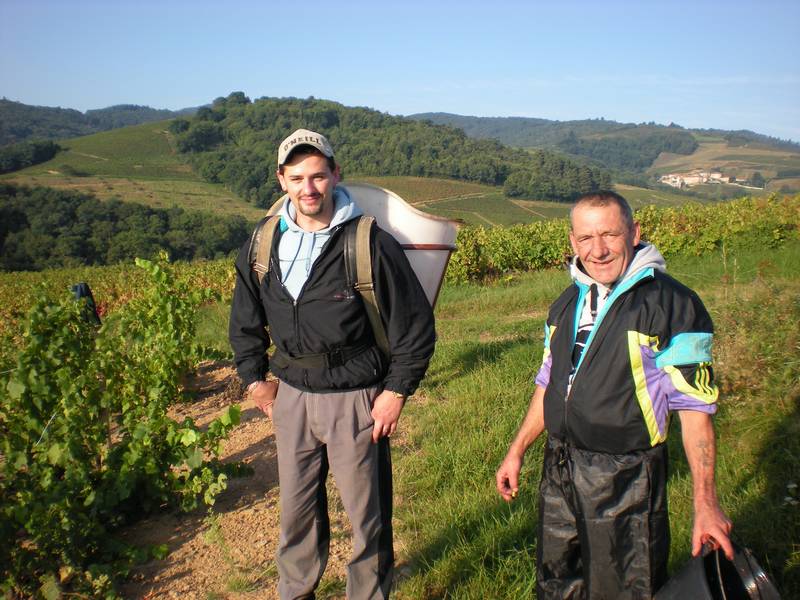 Vive les vendanges à la Folie Michel et son fils