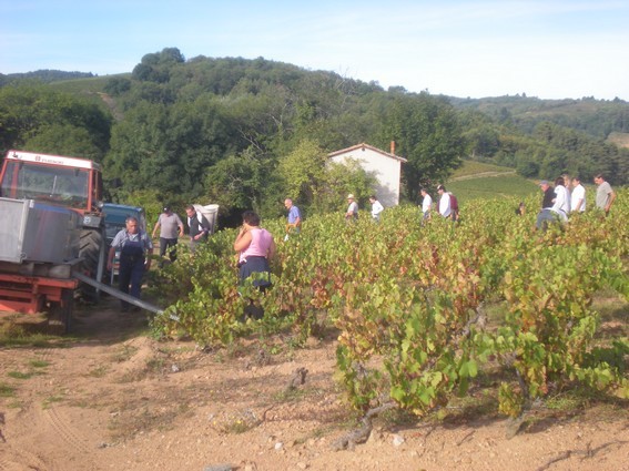 Beaujolais-Villages