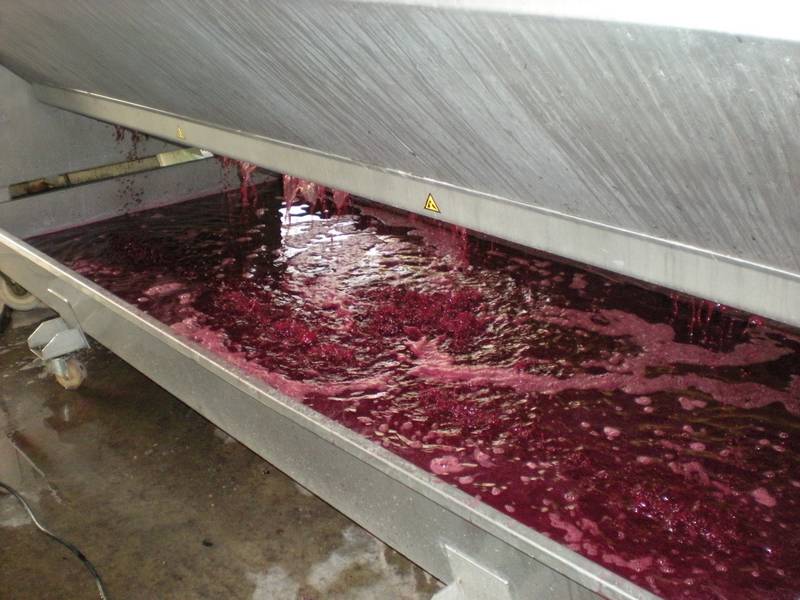 Tous les arôme du vin nouveau Le Paradis